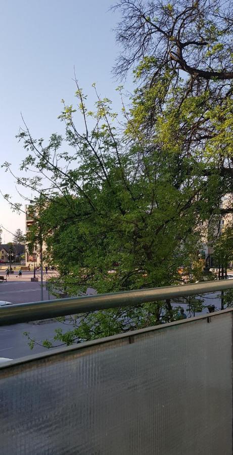 Citys Daire Apatin Dış mekan fotoğraf